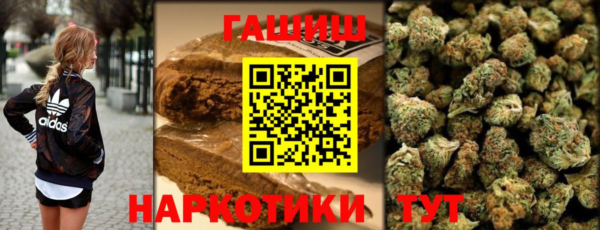 ГАШ Premium Ивантеевка
