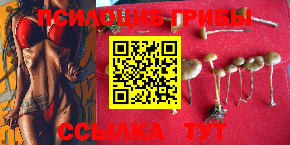 Ивантеевка  Псилоцибиновые грибы Psilocybine cubensis  Вход с VPN 